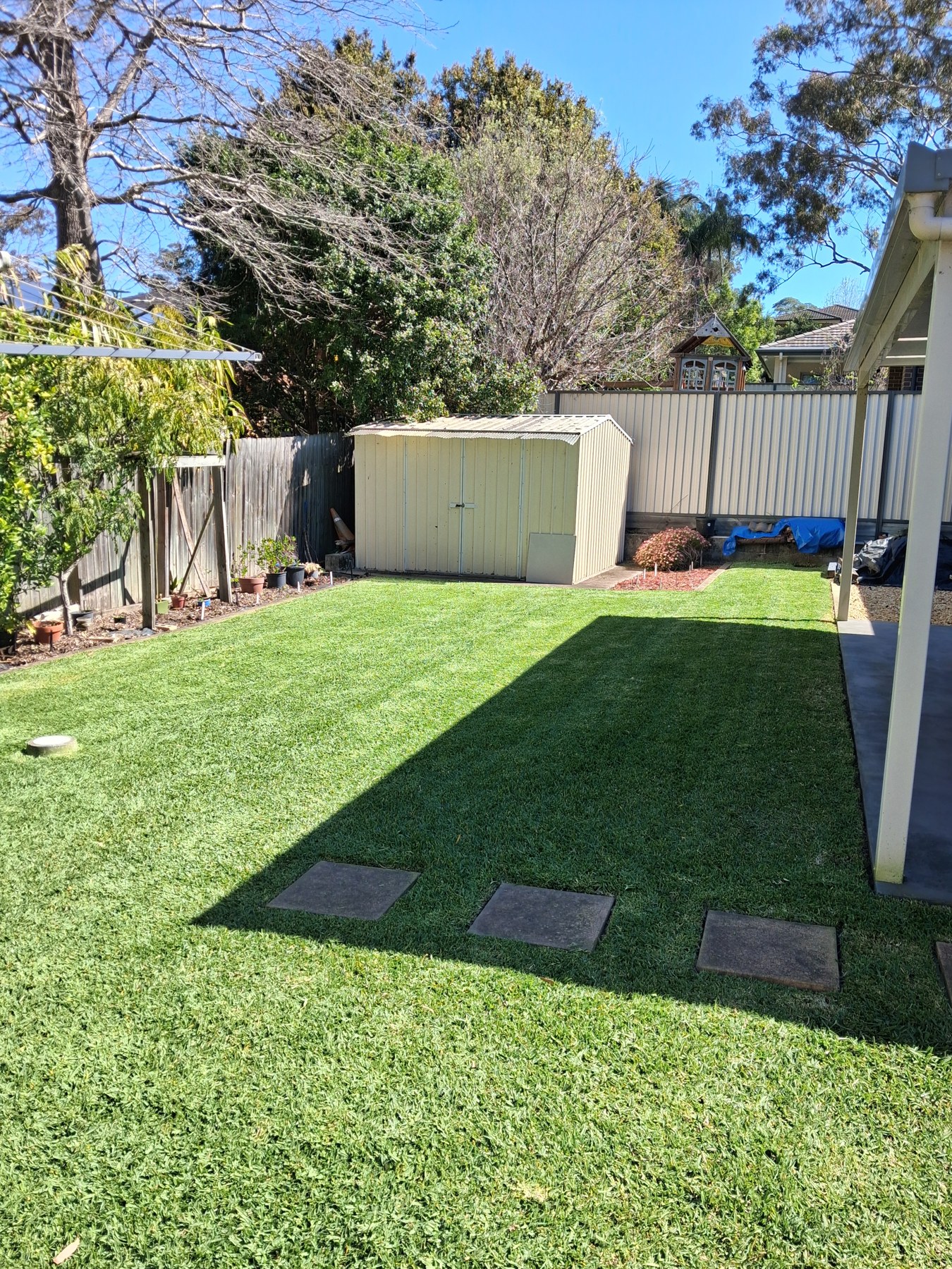 Freshly mowed backyard lawn beside a shed in Cherrybrook, NSW