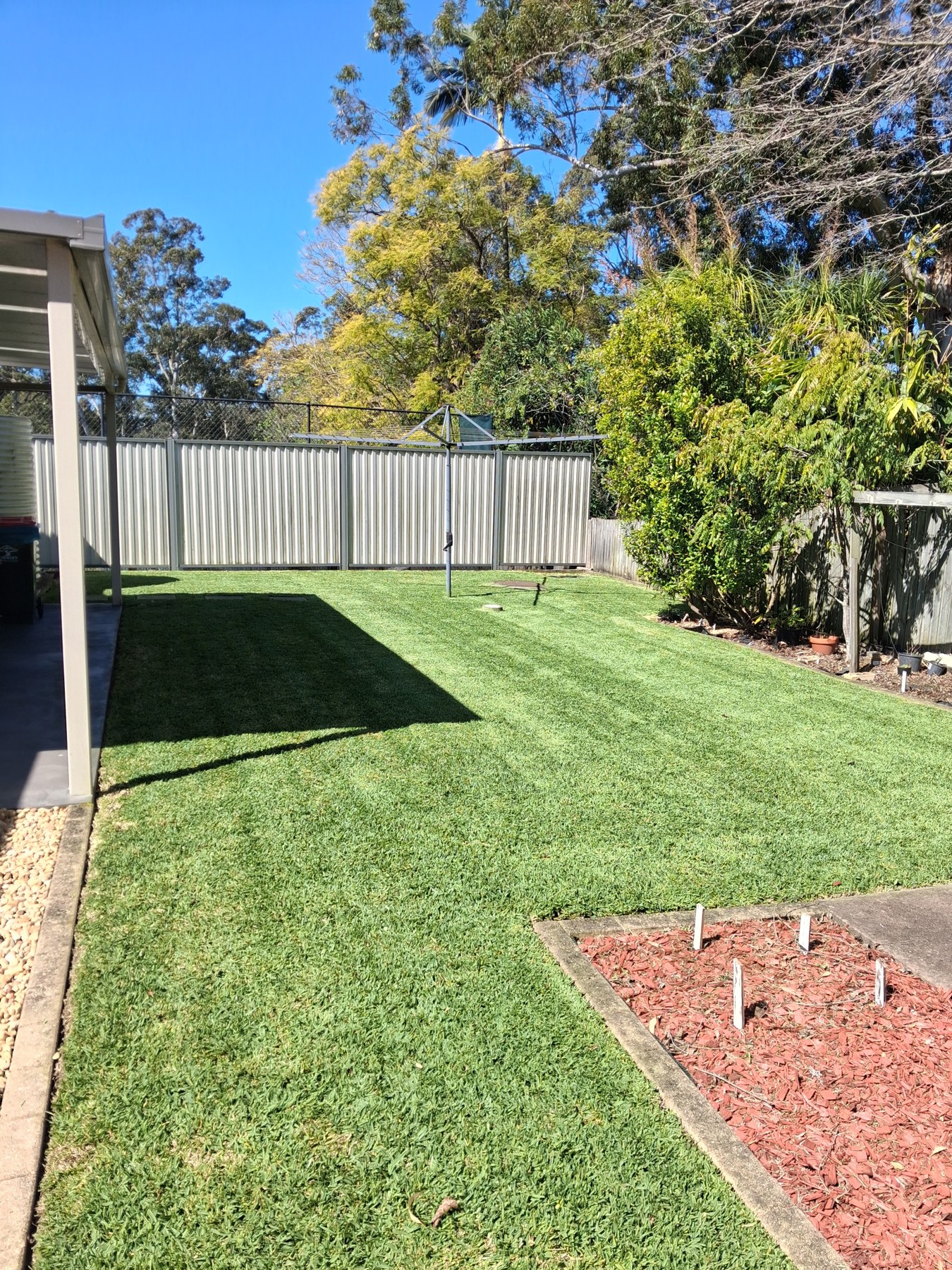 Backyard lawn and clean garden edges in Cherrybrook, NSW