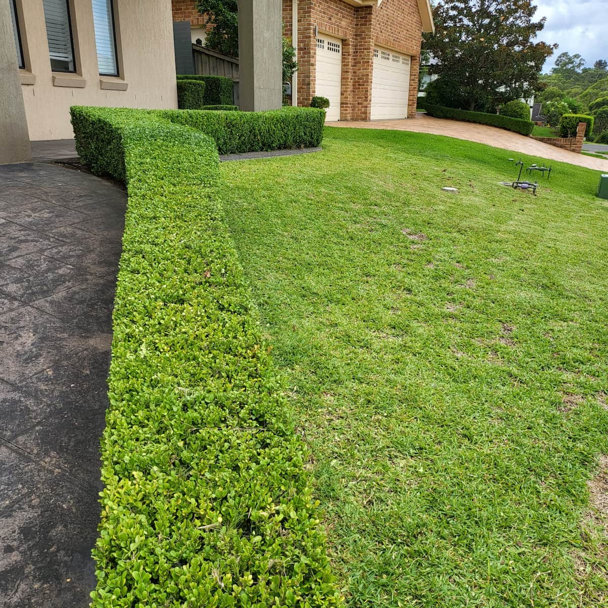 Lawn mowing and trimmed front hedges in Kellyville, NSW