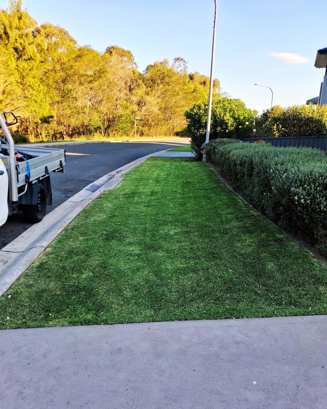 Freshly mowed verge and trimmed hedge in Kellyville, NSW