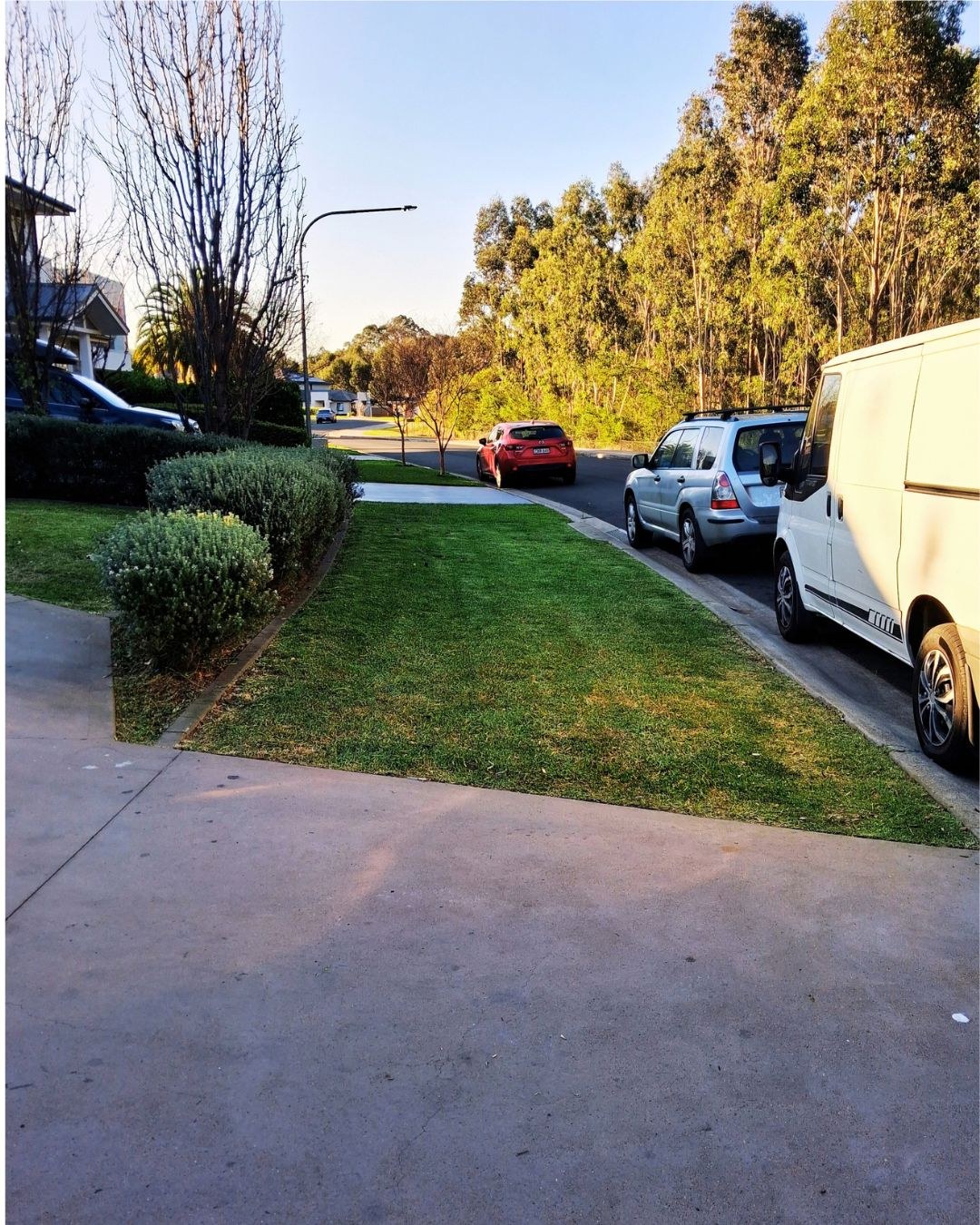 Neatly edged street-front lawn in Kellyville, NSW